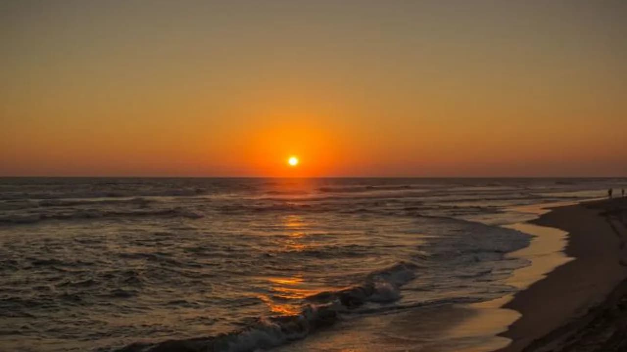 Barra Vieja: pescado a la talla, mar abierto y tardes sin prisa