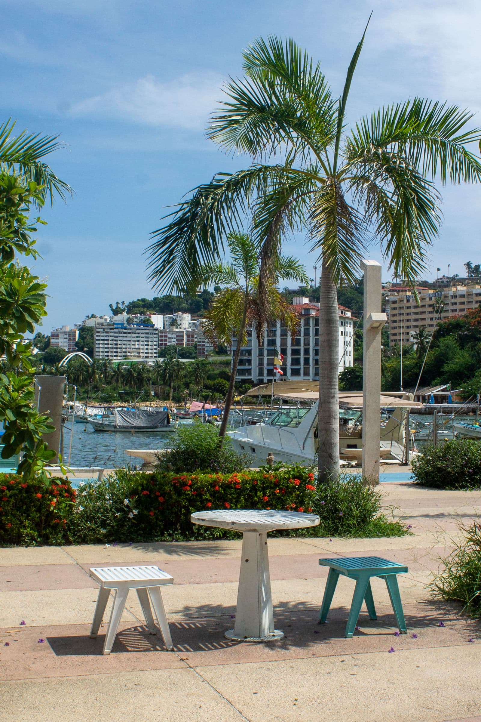 Marina de Acapulco con palmeras