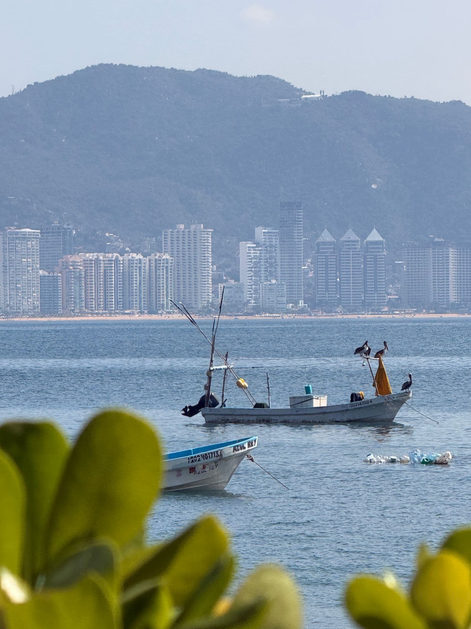 Barcos y pelícanos en la bahía de Acapulco