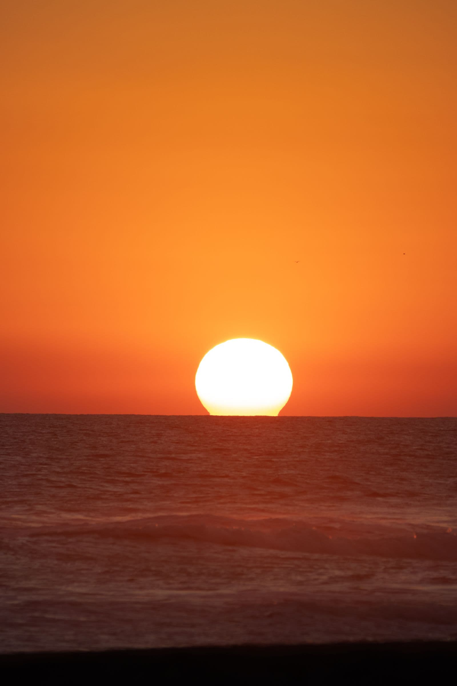 Horizonte al atardecer en Acapulco